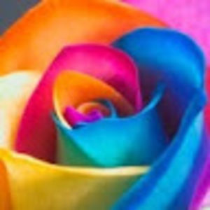 Meet your Posher, Celeste